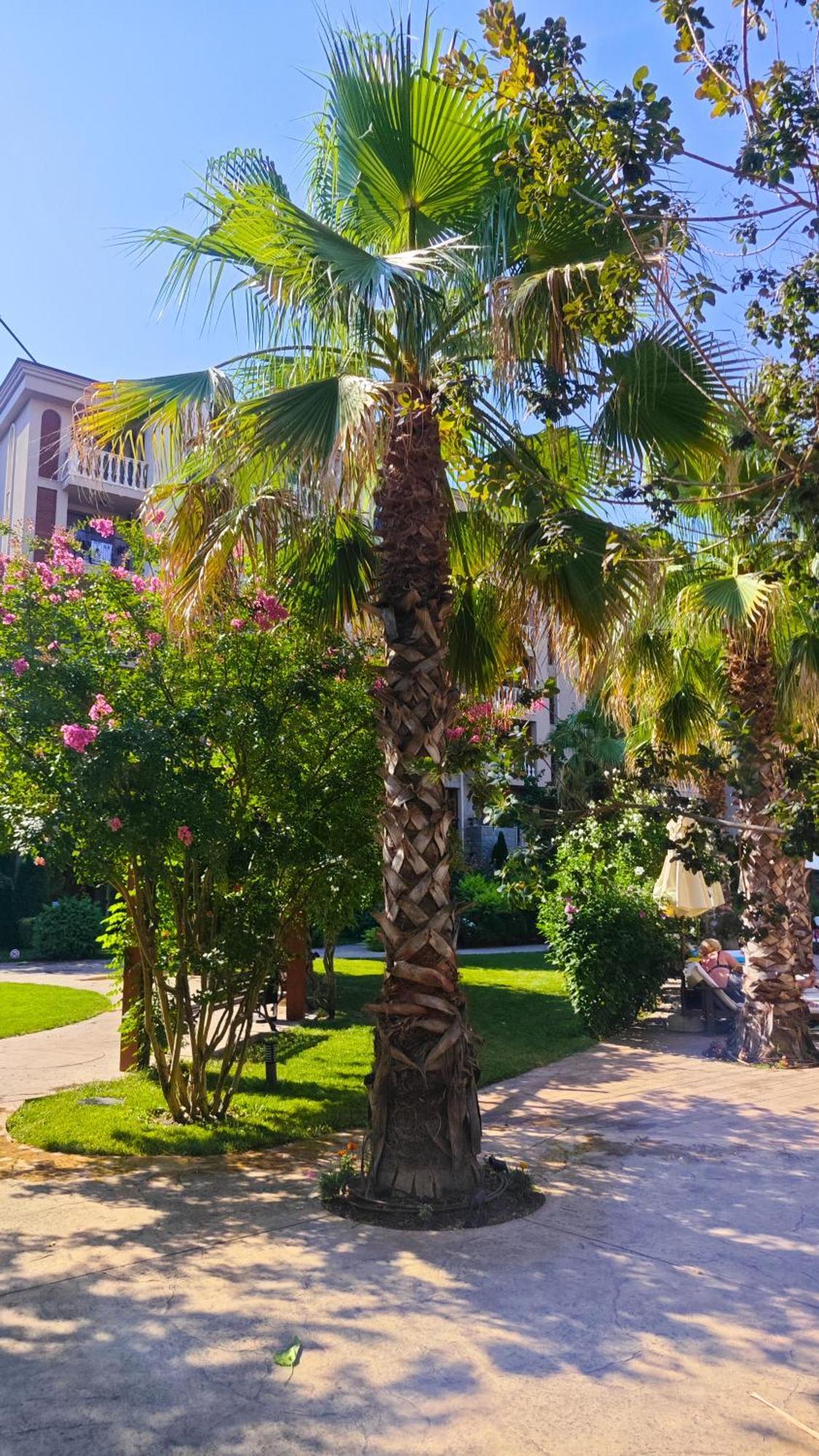 Attractive Family Apartment In Sunny Beach Cascadas Family Resort Εξωτερικό φωτογραφία
